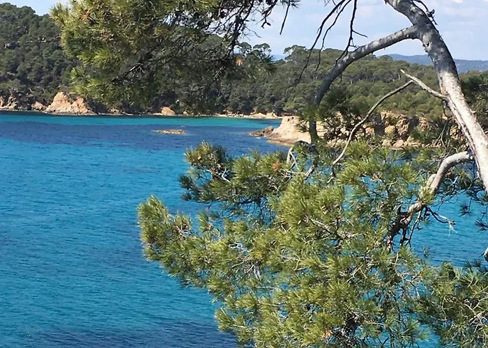 T3 Front De Dernier Etage Vue Petit Havre De Paix Pour Vos Emplacement Unique Vue Panoramique A 180 Degres Pour Ce T3 En Face De La Front De Vue Sur Les Iles 5 Et Dernier Etage Avec Ascenseur Le Lavandou